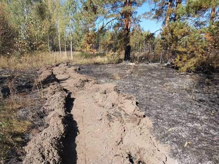 В Пензенской области за выходные потушили четыре лесных пожара