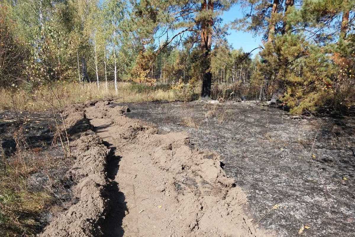 В Пензенской области за выходные потушили четыре лесных пожара