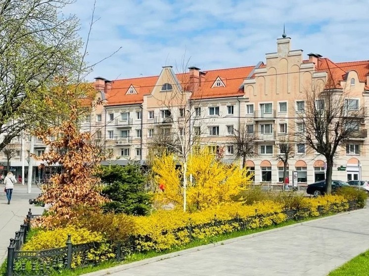 Посуточная аренда жилья в Калининграде подешевела на 11%