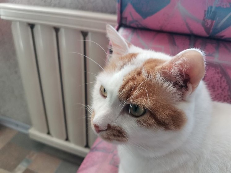 В Благовещенске отопительный сезон стартовал 25 сентября