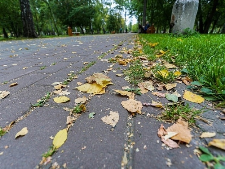 В Новосибирской области назвали самый тёплый день последней недели сентября-2023