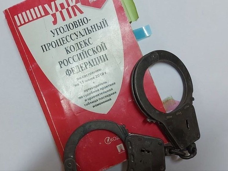 Житель Николаевска-на-Амуре осужден за применение насилия в отношении полицейского