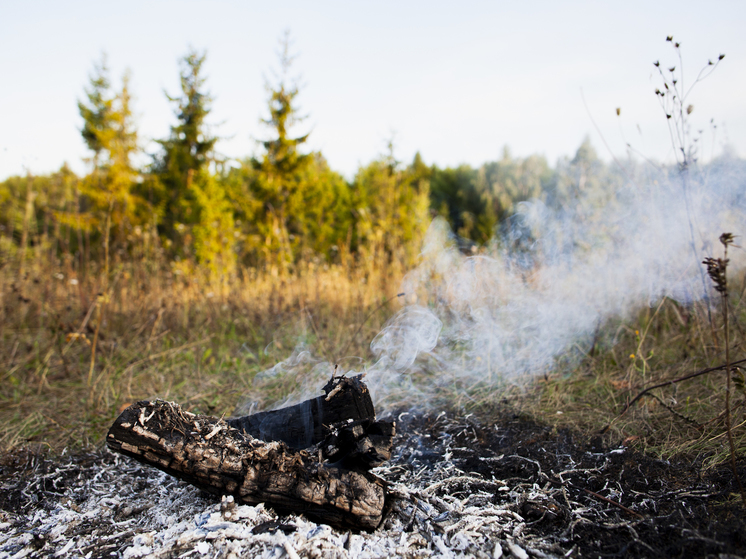 4-й класс пожароопасности в лесах Марий Эл сохранится до 2 октября