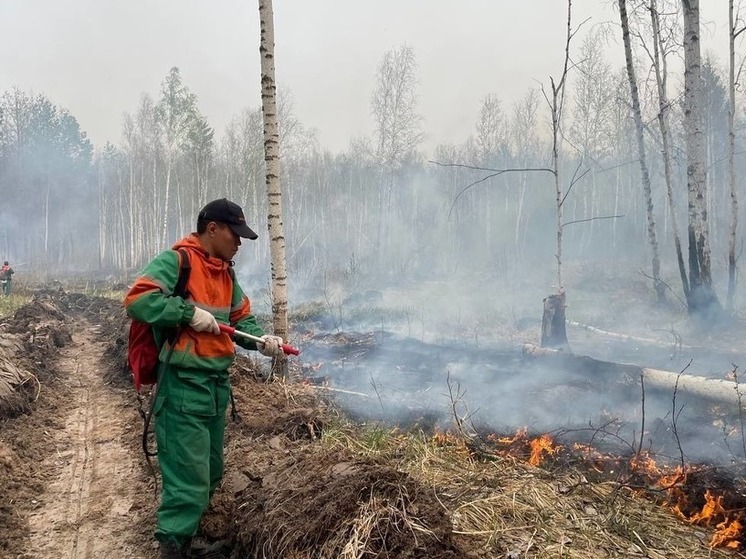 Ямал вошел в топ-5 регионов Арктической зоны по скорости тушения лесных пожаров