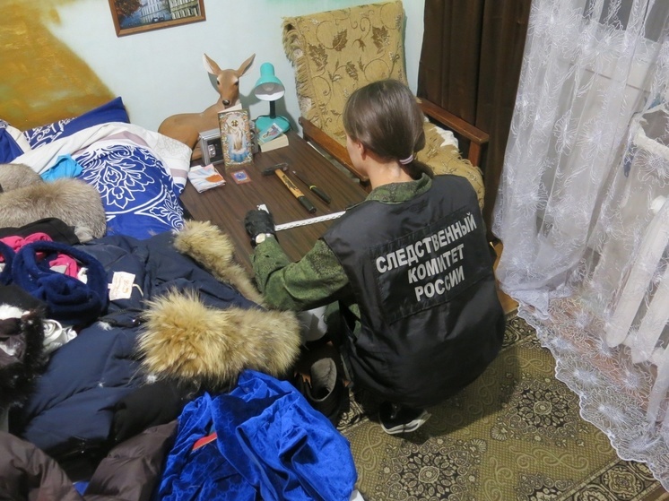 Жительнице Петушинского района предъявлено обвинение в убийстве