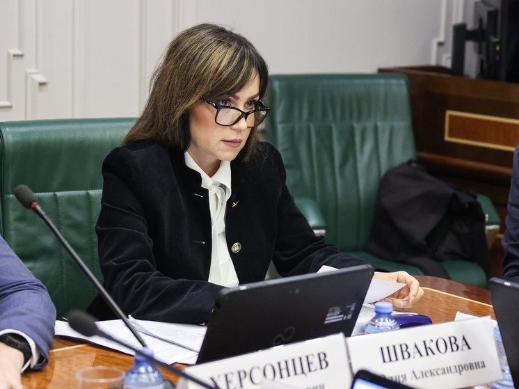 Зампред Швакова выступила с докладом на заседании комитета Совфеда по экономической политике