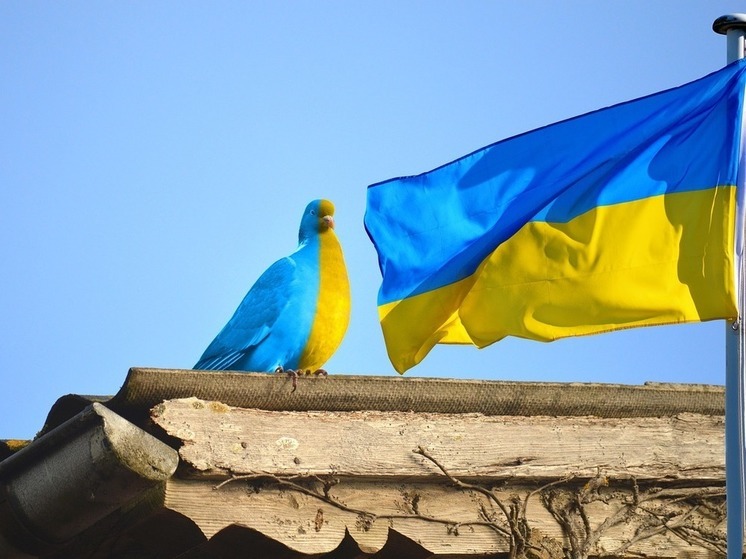 Разоружение и контроль украинской территории являются приоритетным условием мирного договора с РФ