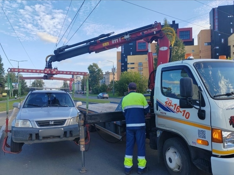 Десять водителей стали пешеходами за выходные в Петрозаводске