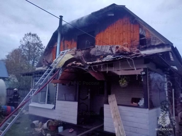 Костромские расследования: СУ СК завел уголовку по факту смерти подростка при пожаре