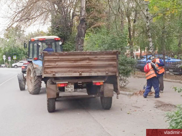 Осенняя уборка Владимира идет круглосуточно и без выходных