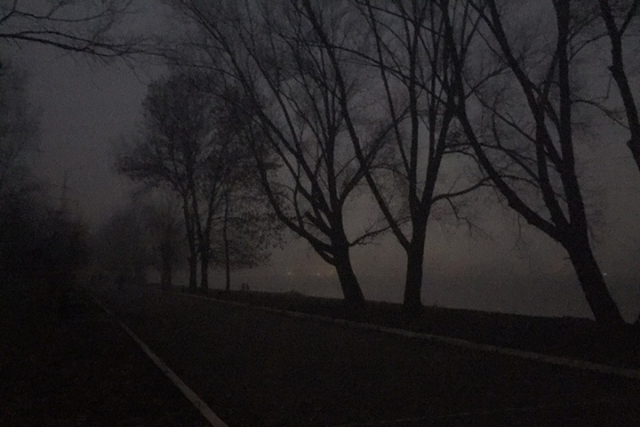 Жителей Тверской области предупреждают о тумане ночью и утром 26 сентября