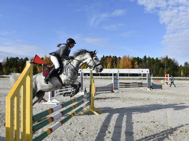 В Югре завершились соревнования по конному спорту