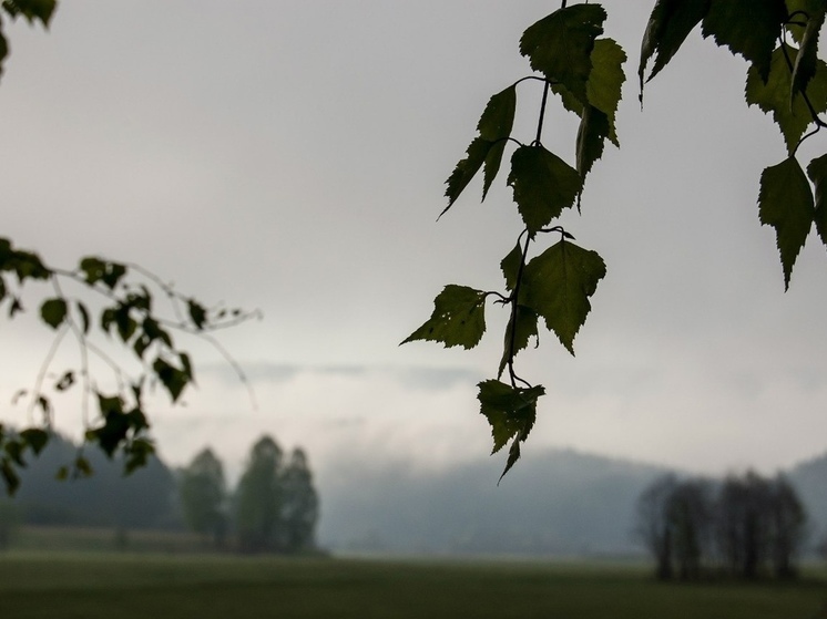 В Башкирии заблудилась группа туристов с ребенком