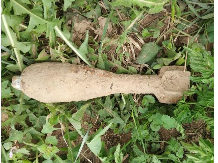 В День освобождения Смоленщины под Демидовом обезвредили мину