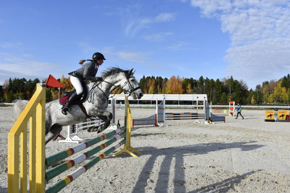 Equestrian competitions ended in Ugra