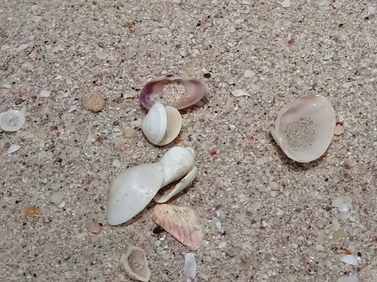 26 сентября отмечается день контрацепции, здоровья окружающей среды и встречи со старыми друзьями