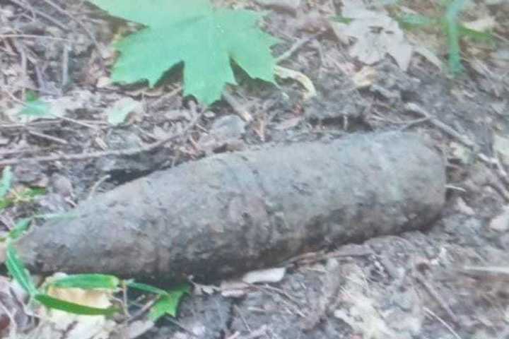 В одном из сел Липецкой области грибники обнаружили снаряд