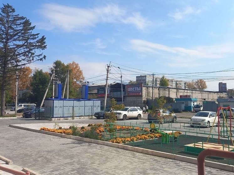 В Хабаровске после ДТП с участием ребенка по улице Радищева появится пешеходный переход