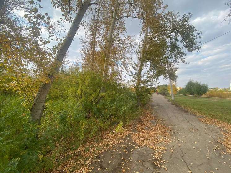 Стали известны подробности обнаружения новорождённого в канаве в Омской области