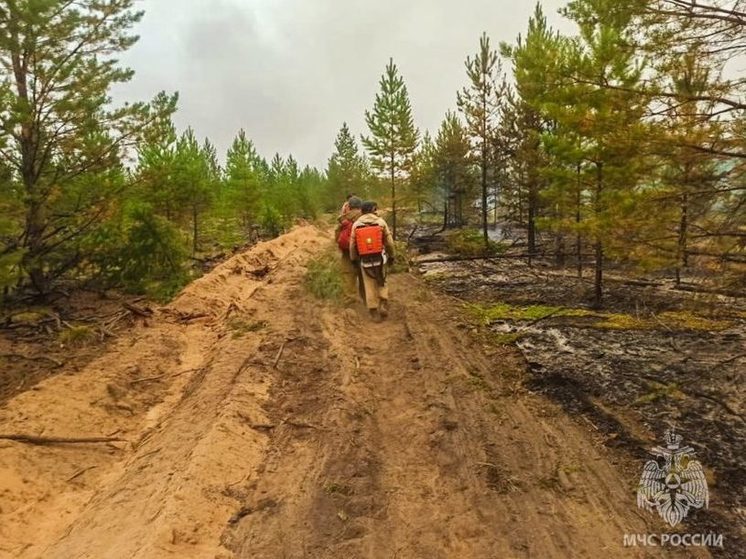 Подсчитан предварительный ущерб от лесных пожаров в Якутии