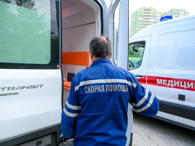 В Магнитогорске стая собак набросилась на школьницу