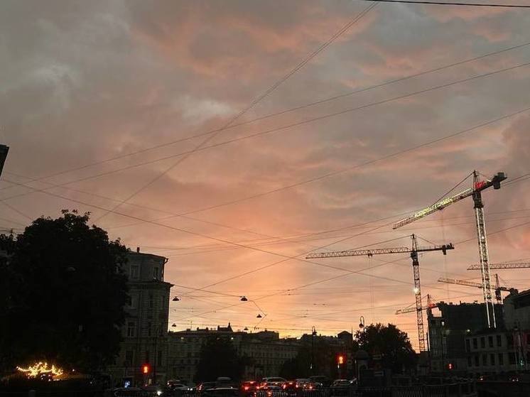 Тепло до +18 градусов и облачность: какая погода ждет Петербург 26 сентября