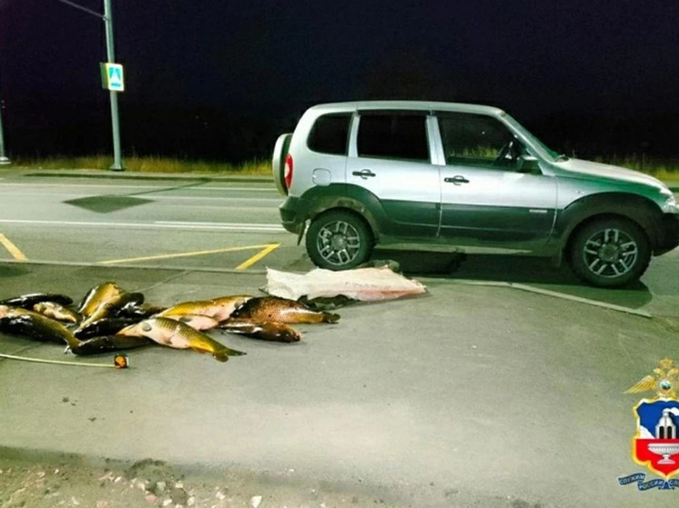 В Алтайском крае будут судить браконьера