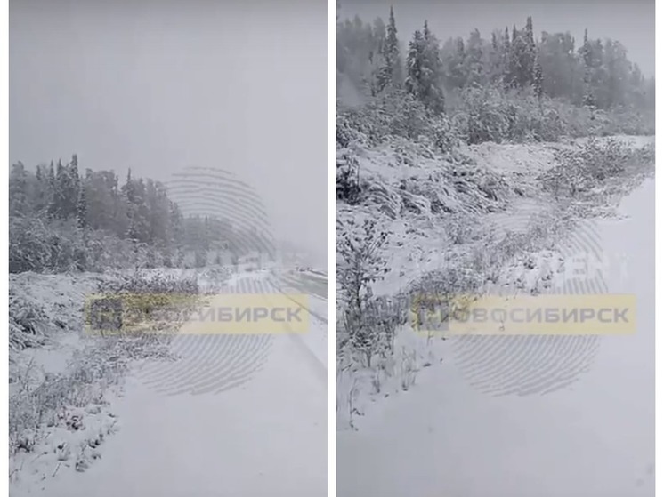 Очевидцы опубликовали видео, на котором Новосибирскую область якобы засыпало снегом