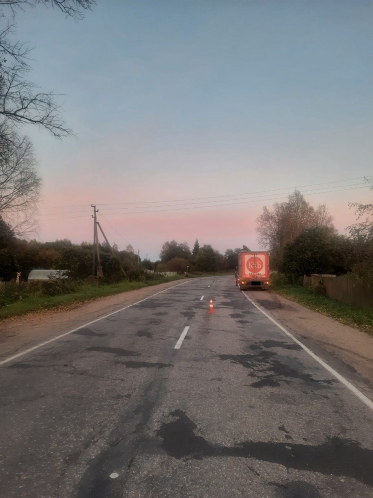 В Тверской области рефрижератор сбил выбежавшего на дорогу ребенка