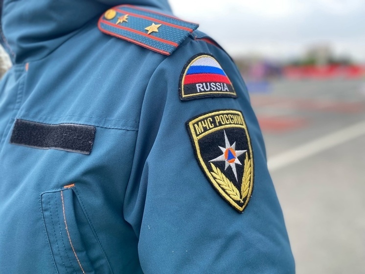 В Тверской области обнаружили 96 взрывоопасных предметов
