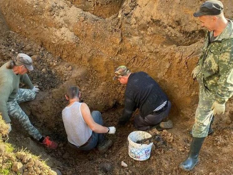 Останки 20 бойцов Красной Армии нашли в Подмосковье