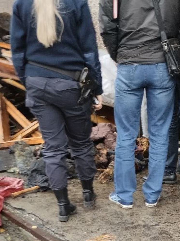 В Прокопьевске следком начал проверку после обнаружения скелета в подвале
