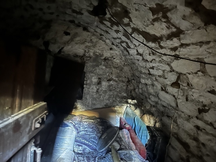 Мыши бегают по экс-главе Петрозаводска ночью на СВО