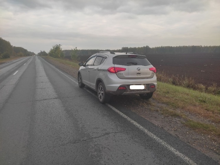Около Искры задержали пьяного водителя Lifan X50