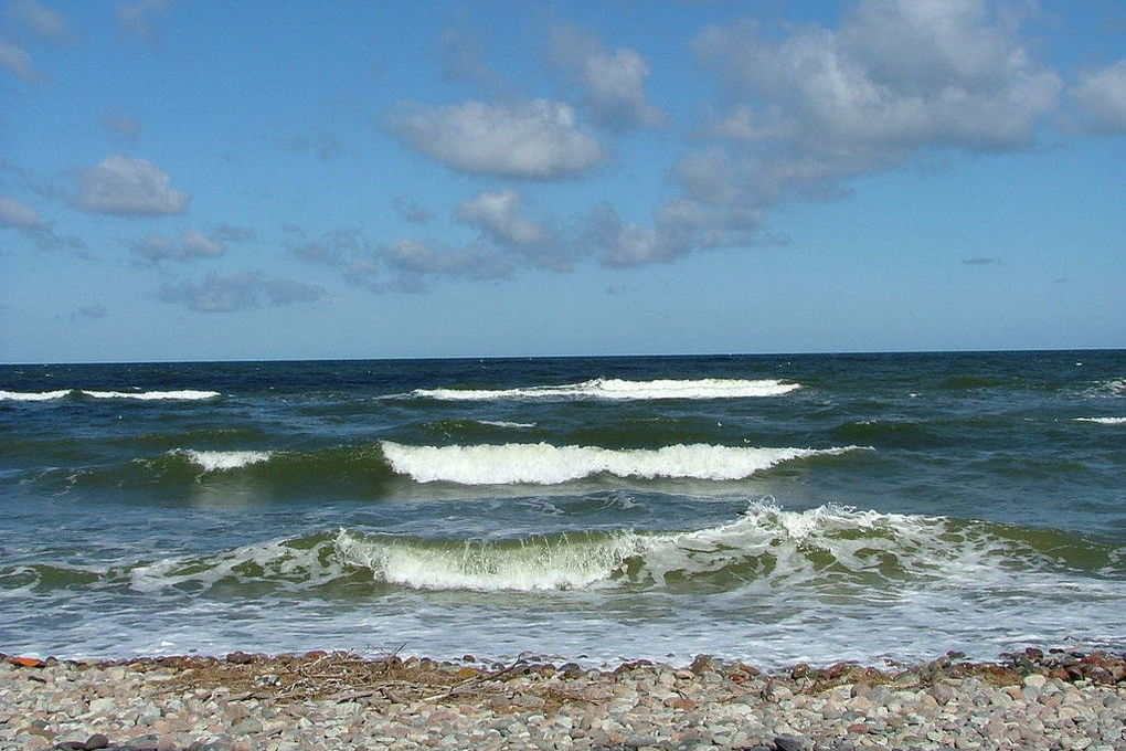 На побережье в Крыму запретили купаться из-за шторма