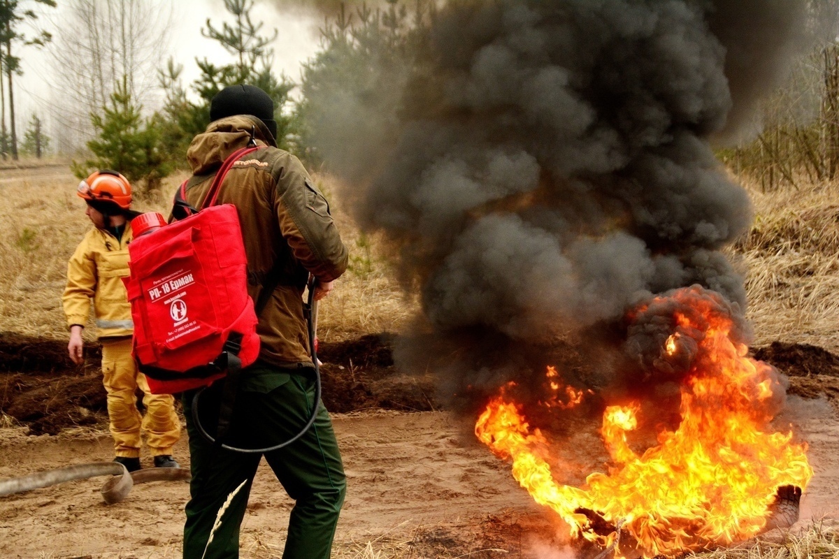 В Воронежской области за неделю случилось 118 ландшафтных пожара