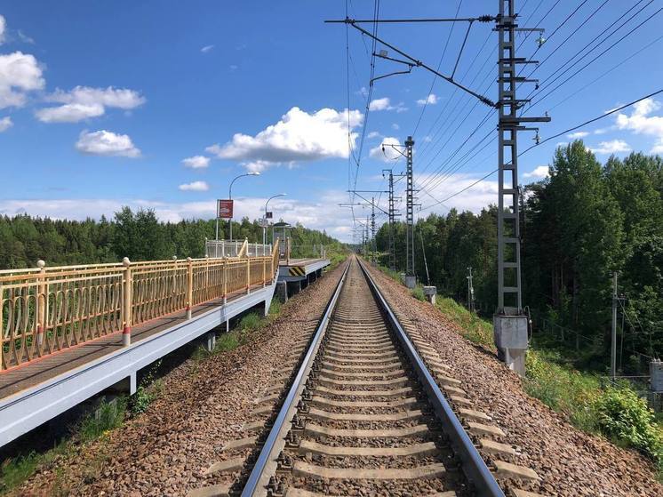 Под Ломоносовом пожилая ленинградка переходила ж/д пути, и ее насмерть сбила дрезина