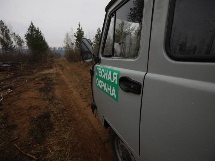 В Бодайбинском районе  около поселка Мамакан горит лес