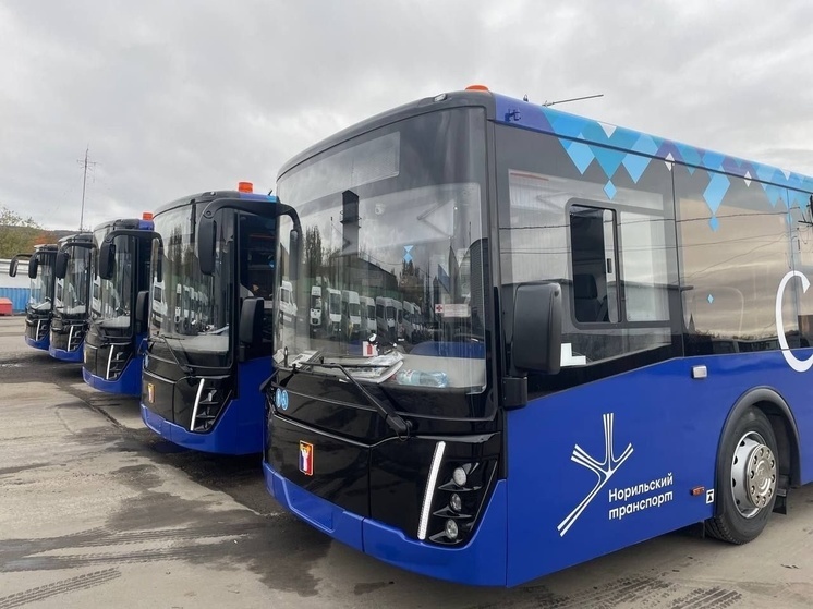 Пять новых автобусов доставят из Мурманска в Норильск по Севморпути