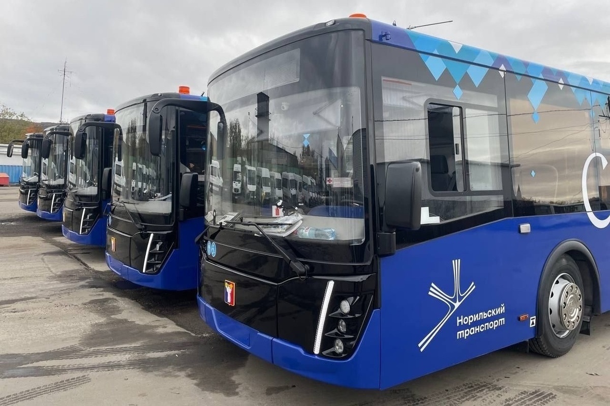 Пять новых автобусов доставят из Мурманска в Норильск по Севморпути