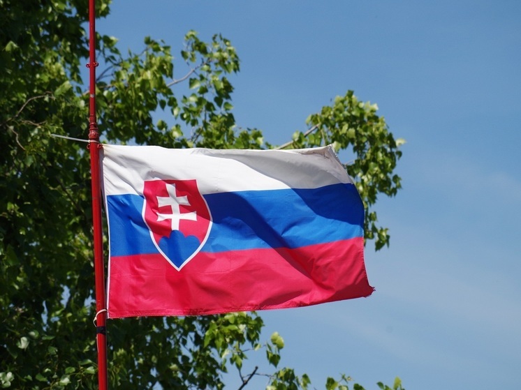 Экс-премьер Словакии: армия находится в плачевном состоянии после помощи Украине