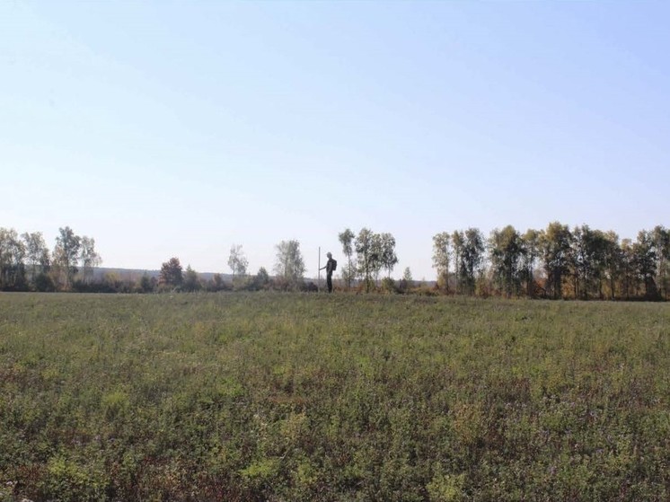 В Пензенской области обнаружили курганную группу в Кузнецком районе