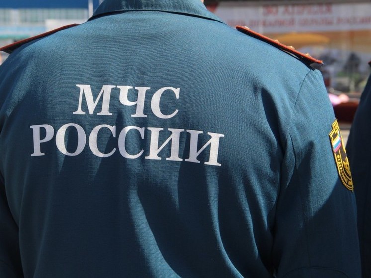 В Хабаровском крае найдены пропавшие в лесу мужчины