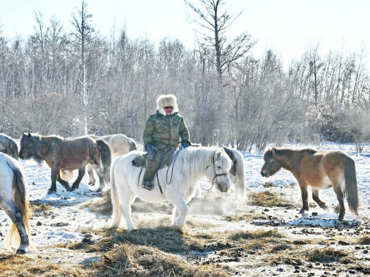 57 млн рублей выделено в Якутии для поддержки коневодства