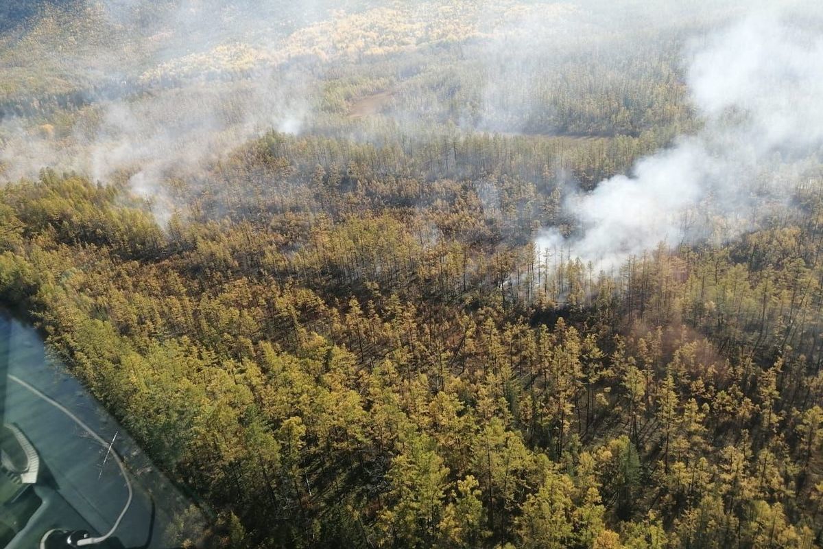 Пожары в муйском районе. Женщина устроила Лесной пожар. На севере Бурятии локализовали Лесной пожар на площади 2 тыс. Га.