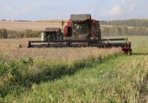 Как сообщили в региональном министерстве сельского хозяйства и перерабатывающей промышленности региона, на 25 сентября убрано 357,6 тысячи га зерновых и зернобобовых культур, что составляет 57,6 % от плана