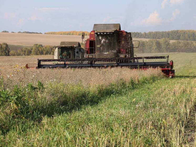 В Кузбассе собрали больше половины урожая