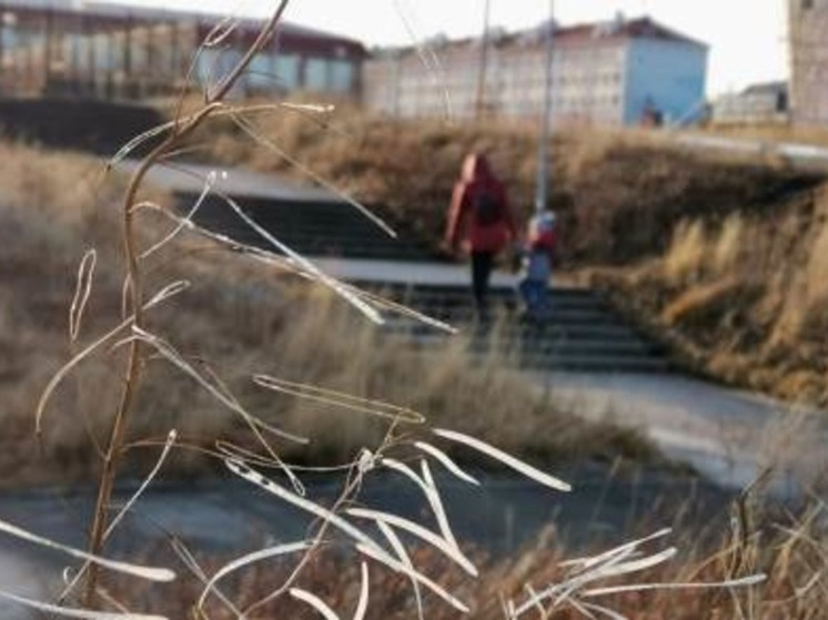 В среду в отдельных районах округа похолодает до -10