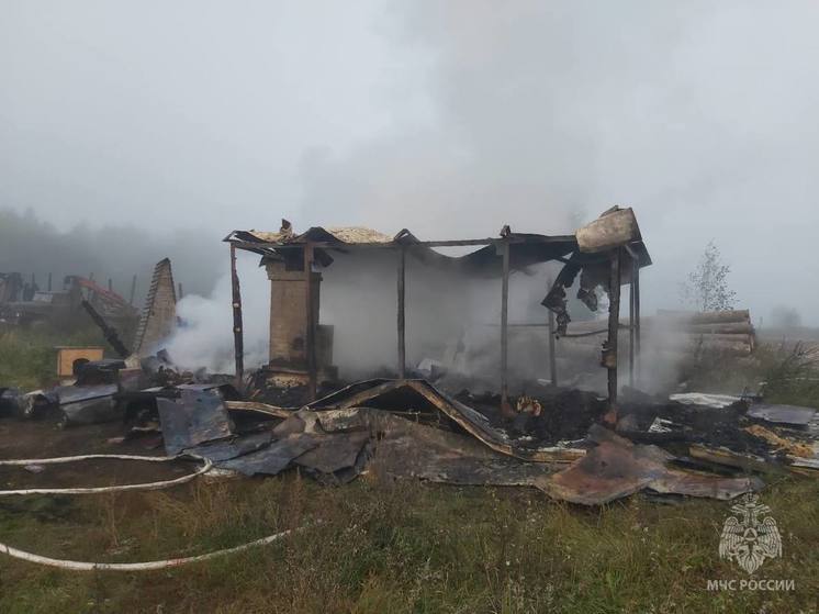 Один человек погиб при пожаре в бытовке в Новгородском районе