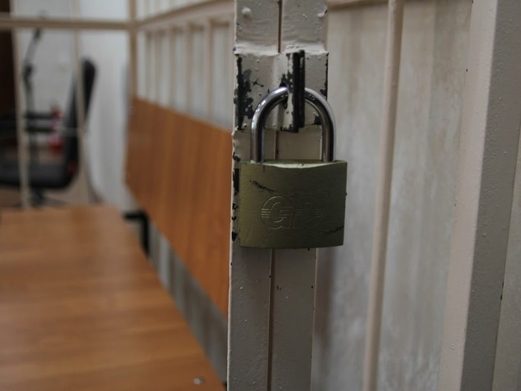 Житель Плесецкого района признан виновным в покушении на убийство местного жителя